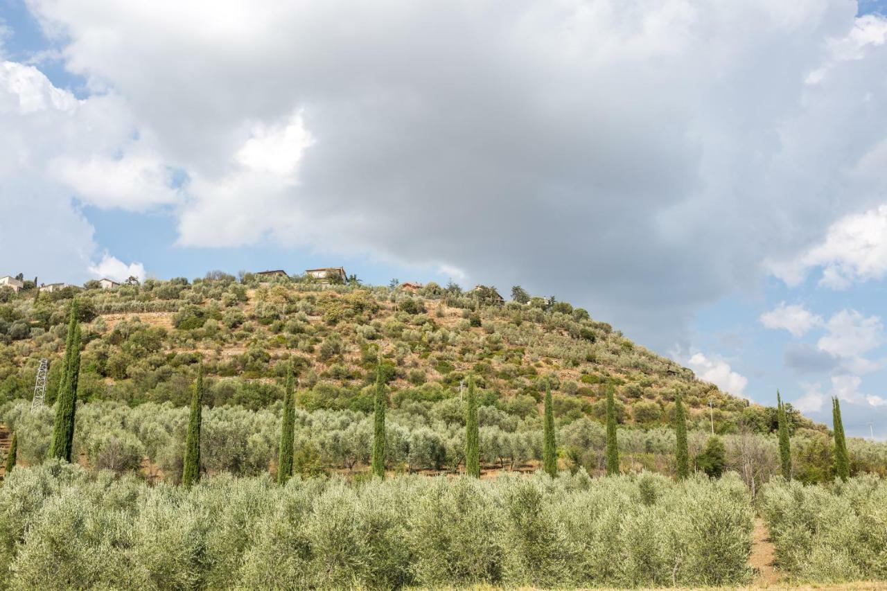 Little Val D'Orcia Lägenhet Montenero d'Orcia Exteriör bild