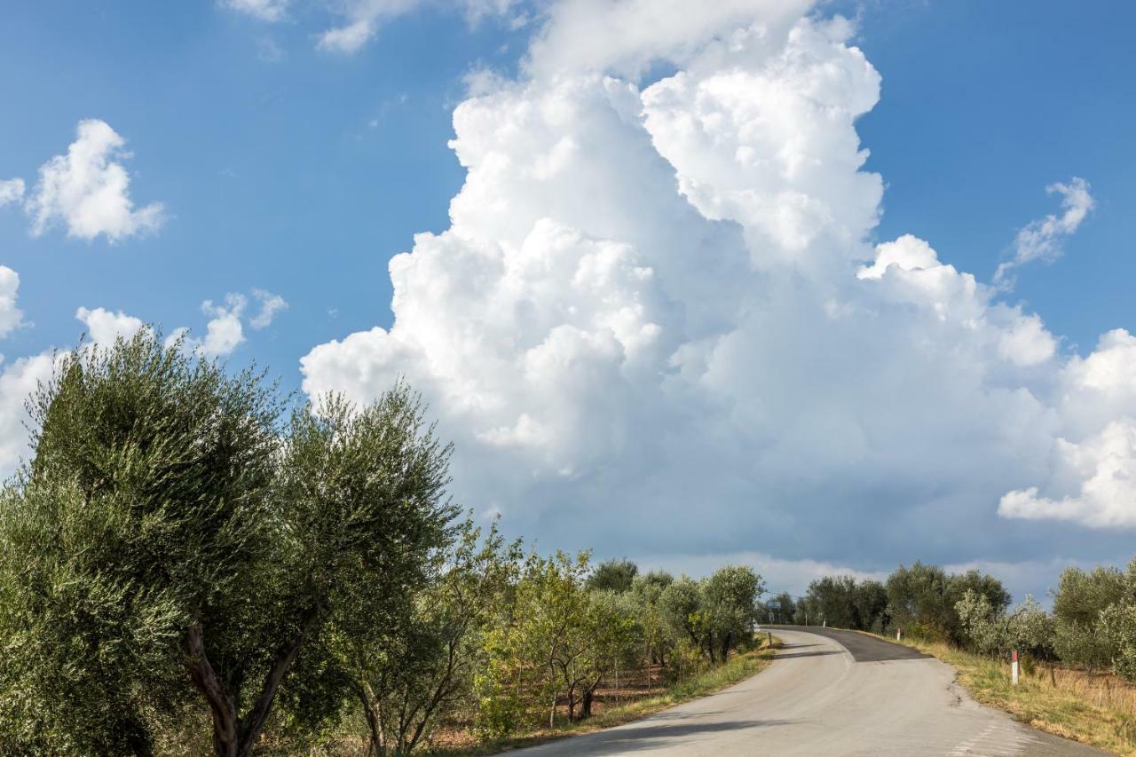 Little Val D'Orcia Lägenhet Montenero d'Orcia Exteriör bild